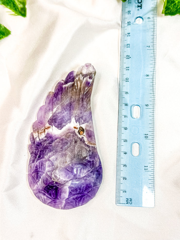 Chevron Amethyst Angel Wing (55I)