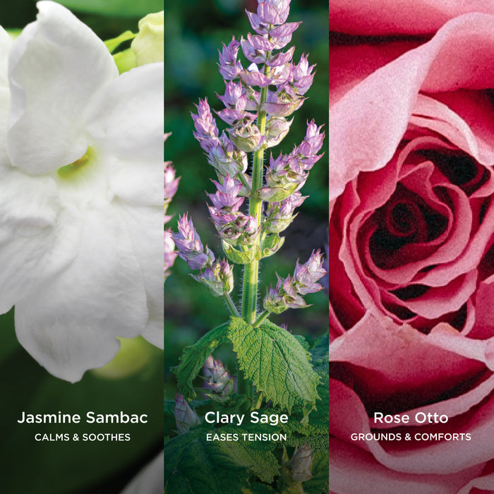 Three-panel ingredient graphic showing Jasmine Sambac, Clary Sage, and Rose Otto botanicals with their skin benefits.