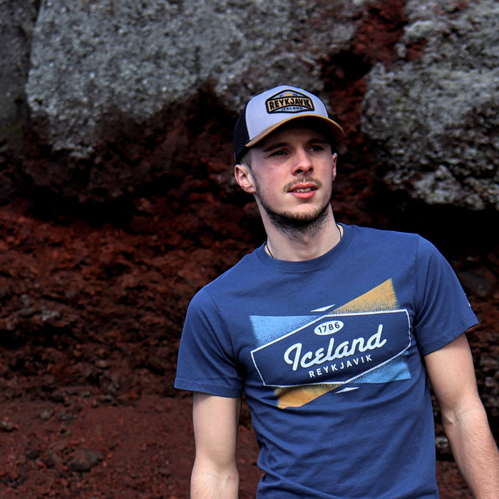 Trucker Cap - Reykjavik Midst - Gray/Caramel/Black