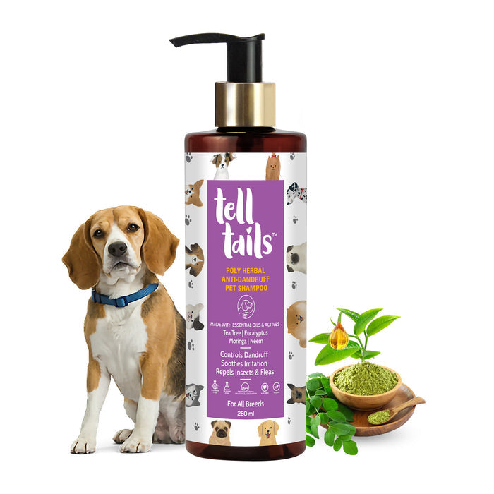 Anti-Dandruff Dog Shampoo
