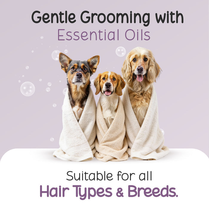 Anti-Dandruff Dog Shampoo
