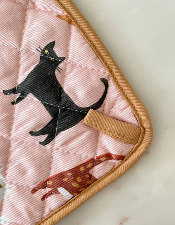 Cat Oven Mit