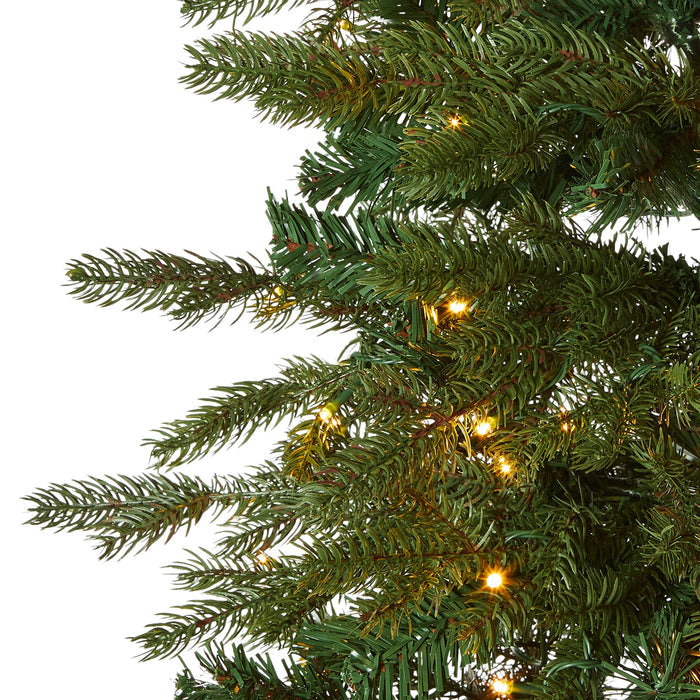 Celeste Pine LED Christmas Tree 210cm