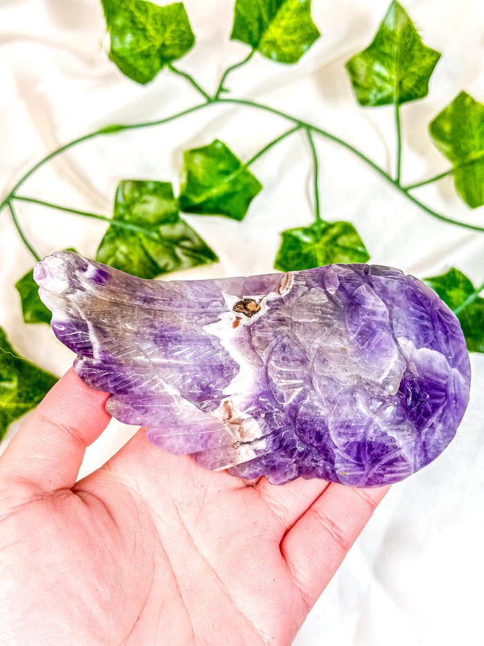 Chevron Amethyst Angel Wing (55I)