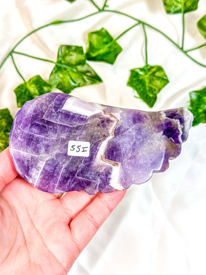 Chevron Amethyst Angel Wing (55I)