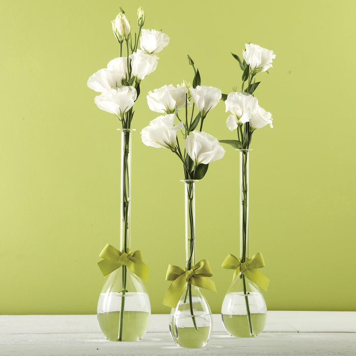 Glass Teardrop Vases in 3 Sizes