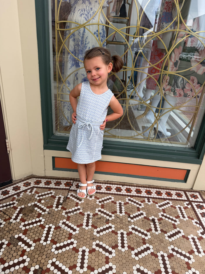 Hamner Hill- Girls Sleeveless Purple Poppy Skort Dress