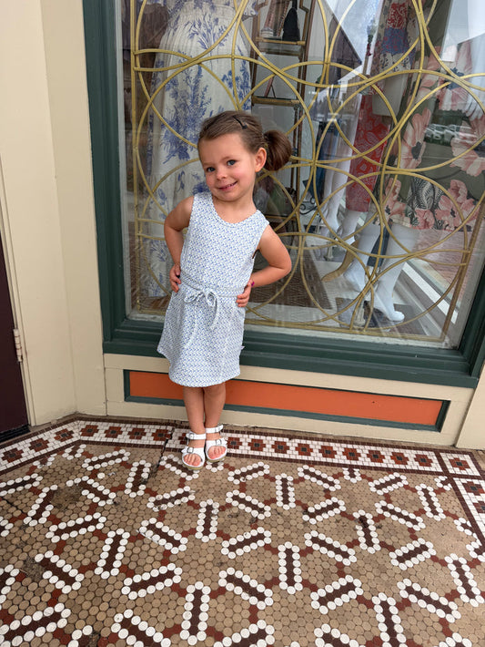 Hamner Hill- Girls Sleeveless Purple Poppy Skort Dress