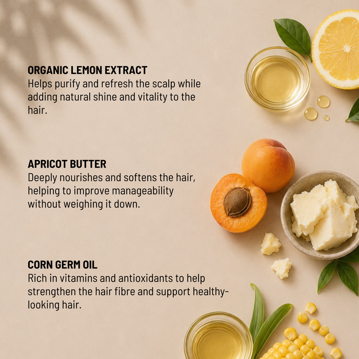 Insight Daily Use Energizing Conditioner
