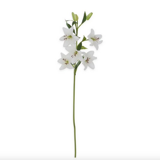 K&K- 30 Inch White Real Touch Lily 5 Blooms & 3 Buds Stem