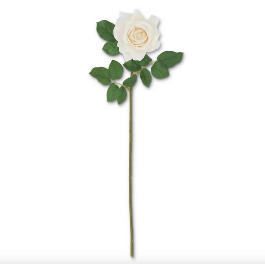 K&K-25 Inch Cream White Real Touch Duchess Rose Stem
