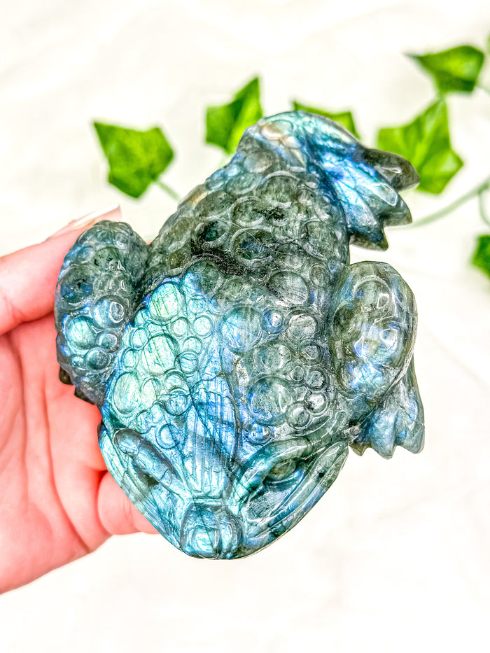 Labradorite Money Toad #3
