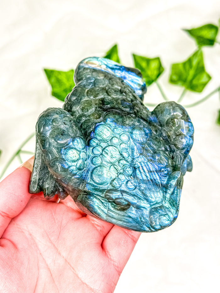 Labradorite Money Toad #3