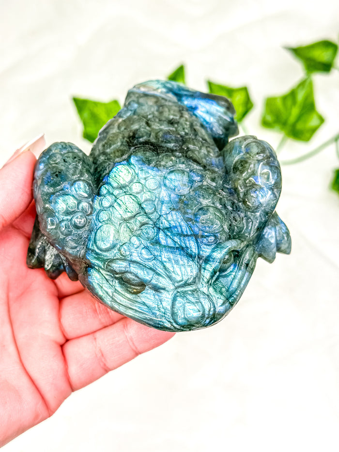 Labradorite Money Toad #3