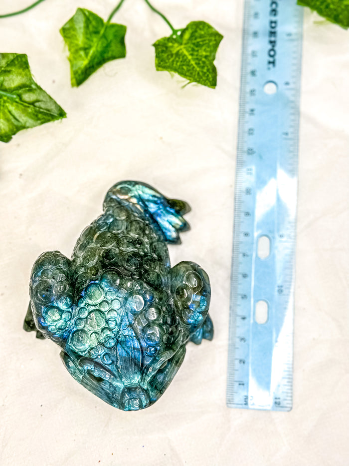 Labradorite Money Toad #3