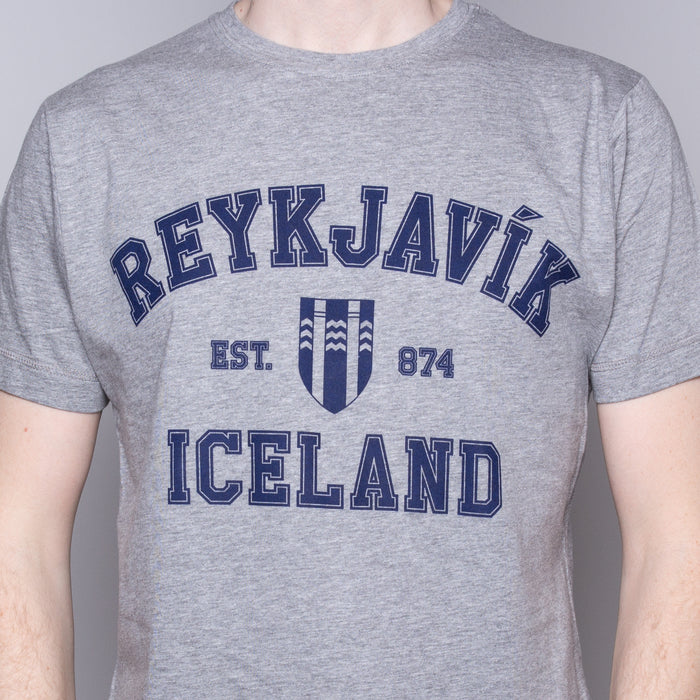 Reykjavík College - T-Shirt - Gray - Idontspeakicelandic