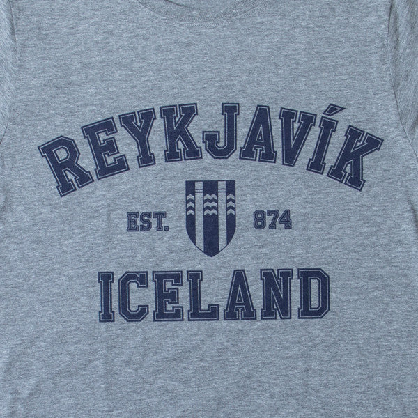 Reykjavík College - T-Shirt - Gray - Idontspeakicelandic