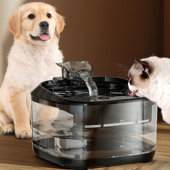 Smart Automatic Circulating Filtration Pet Water Fountain With A Large Capacity by DigestWell Co.