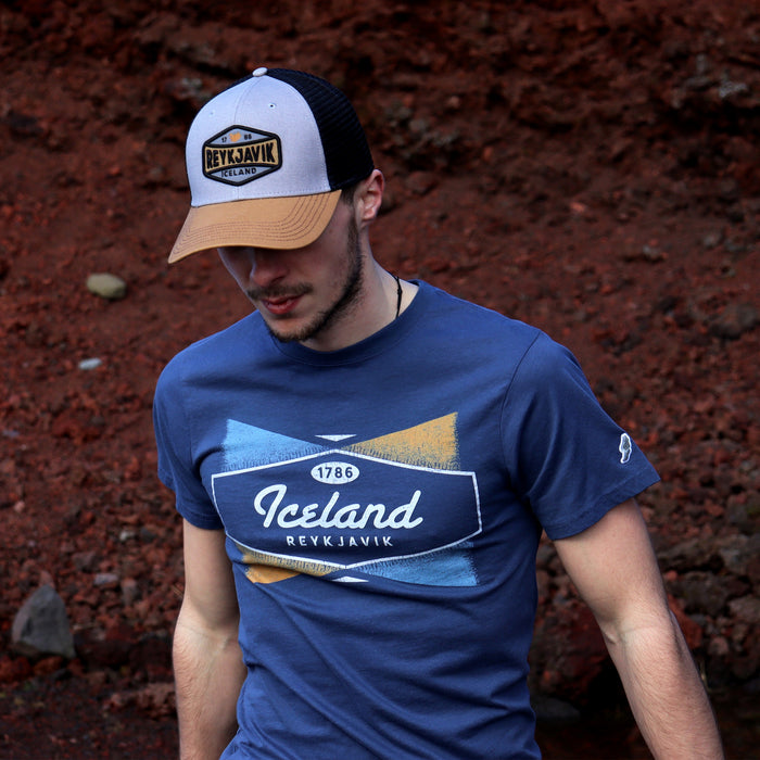 Trucker Cap - Reykjavik Midst - Gray/Caramel/Black