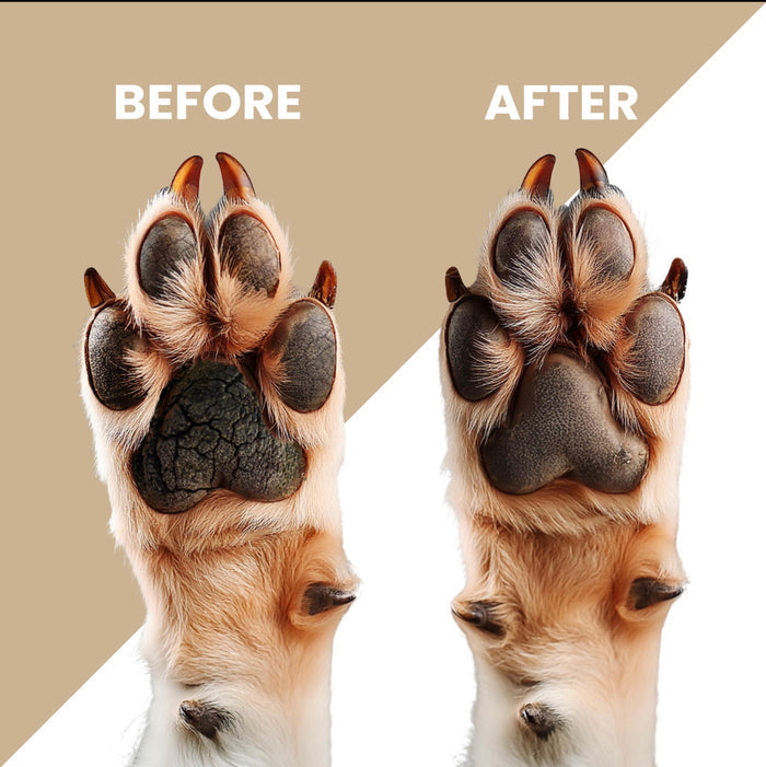 Waterless Kit For Dogs