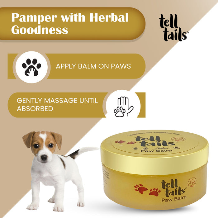 Waterless Kit For Dogs